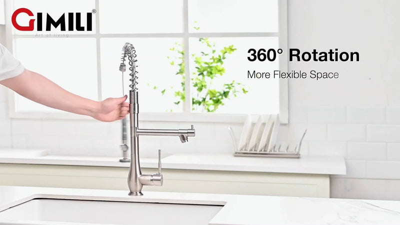 Modern Stainless Steel Kitchen Faucet with Sprayer (Brushed Nickel)