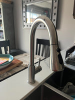 Kitchen Faucet with Pull Down Sprayer, Brushed Nickel High Arc Single Handle Kitchen Sink Faucet for Pot Filler, Stainless Steel Commercial Modern Rv Farmhouse Camper Laundry Bar Sink Faucets