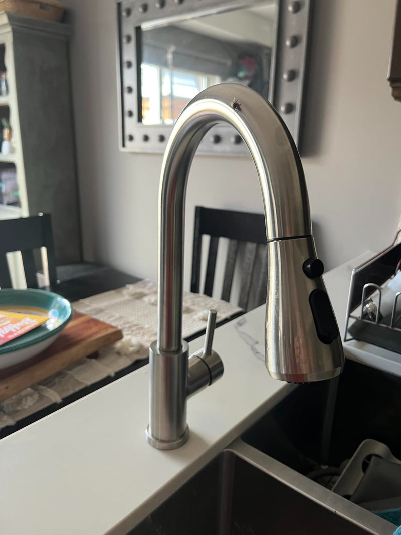 Modern Stainless Steel Kitchen Faucet with Sprayer (Brushed Nickel)