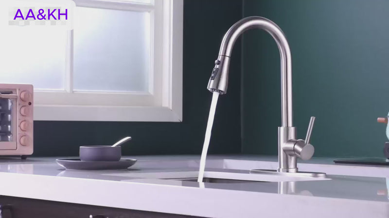 Modern Stainless Steel Kitchen Faucet with Sprayer (Brushed Nickel)
